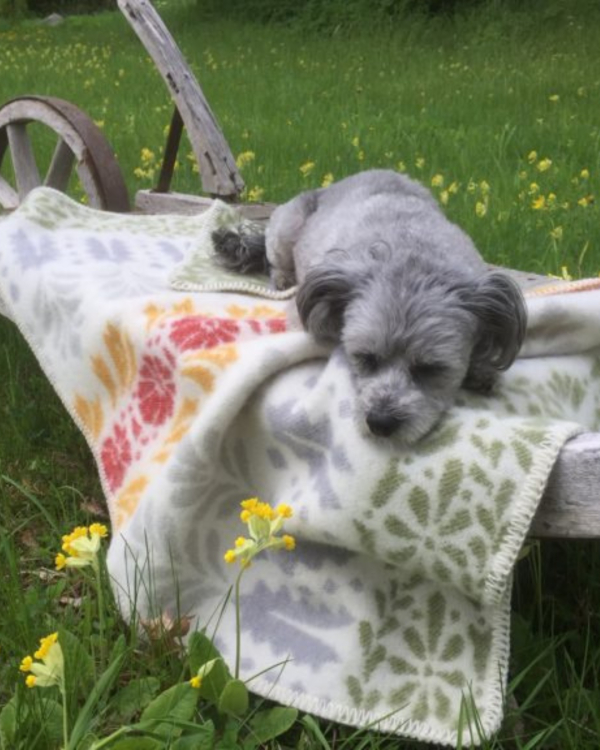 Alternativ vy av Barnfilt ARVET - gul röd grön - 100 % lammull - Kerstin Landström Design