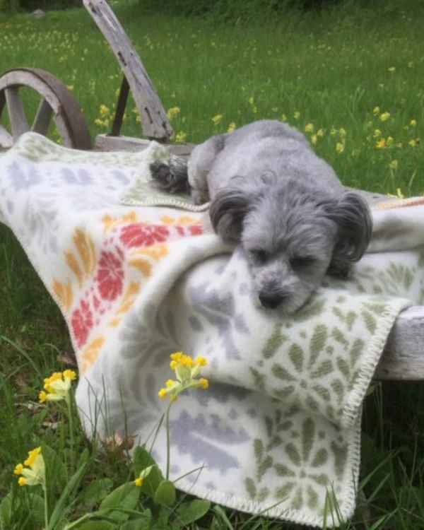 Alternativ vy av Barnfilt ARVET - gul röd grön - 100 % lammull - Kerstin Landström Design