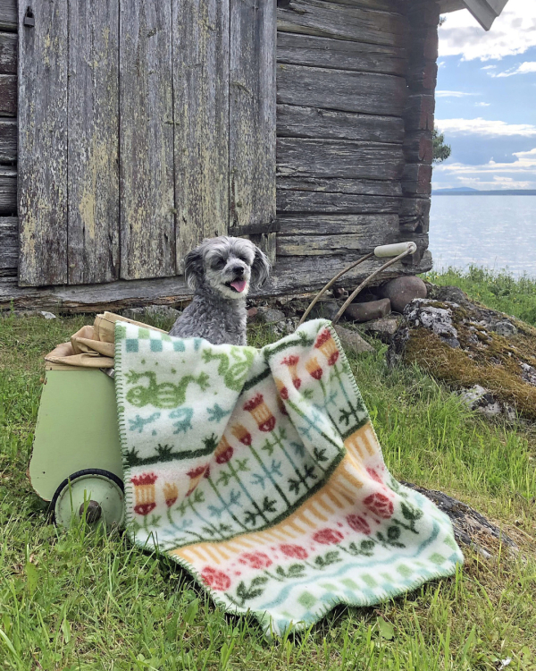 Alternativ vy av Barnfilt ESBJÖRN - 100 % lammull - Kerstin Landström Design